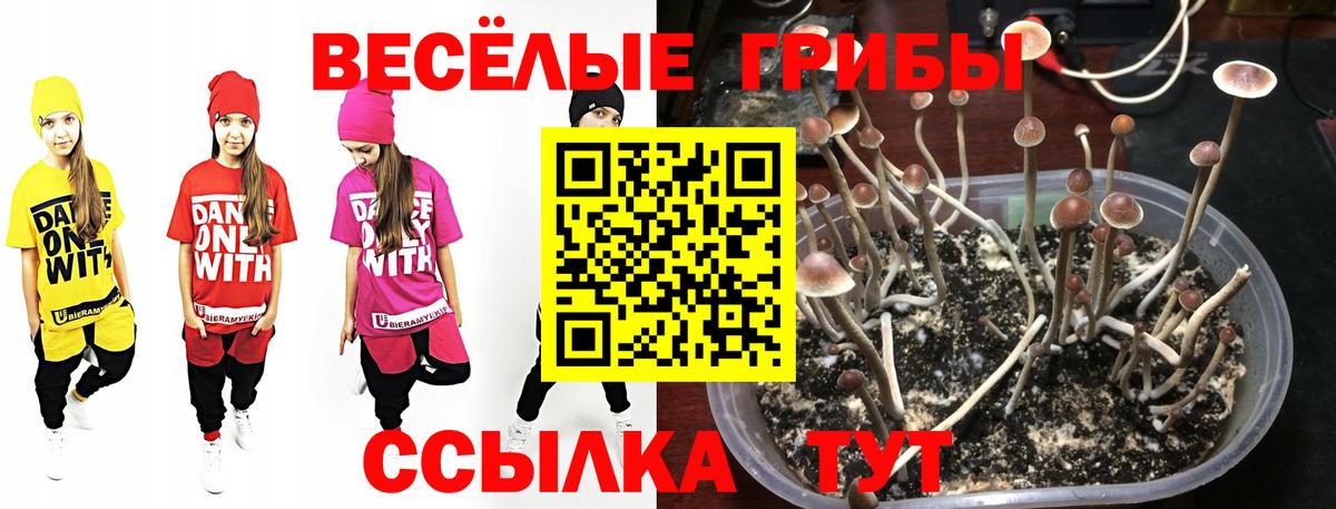 Гусиноозёрск  Галлюциногенные грибы прущие грибы  Псилоцибиновые грибы Magic Shrooms  Вход с VPN 